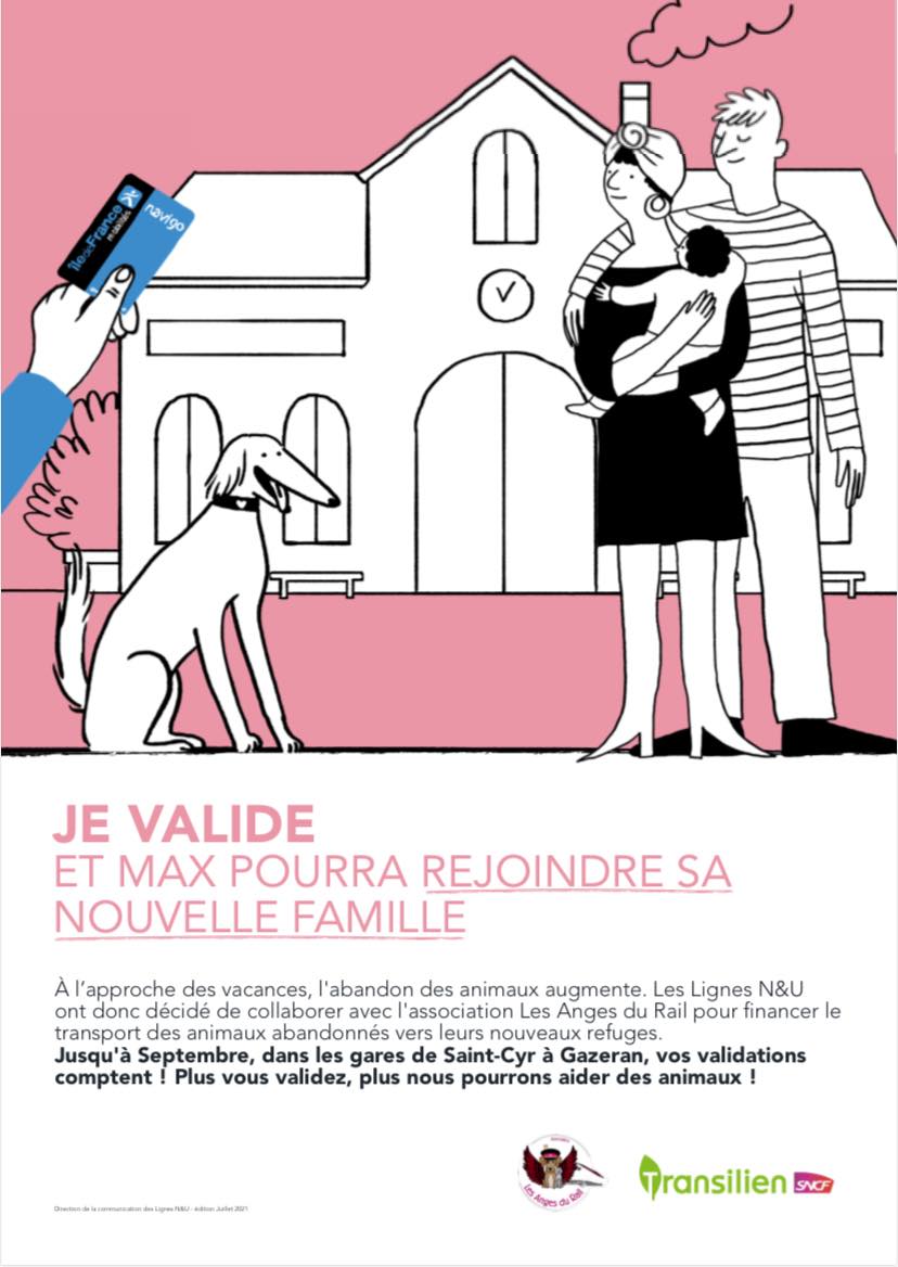 Pour aider les animaux abandonnés, validez