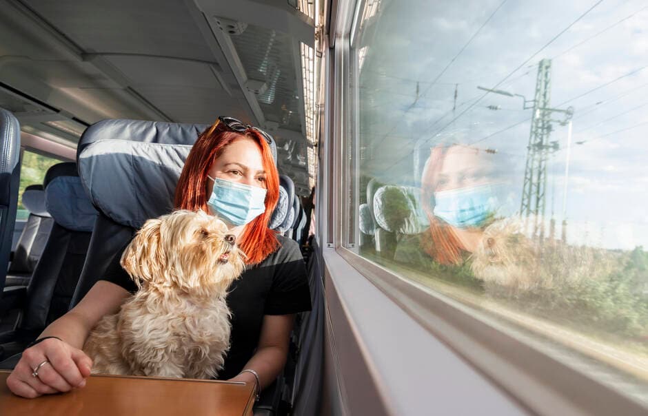 SNCF. Un tarif unique s’applique désormais pour voyager avec son animal de compagnie