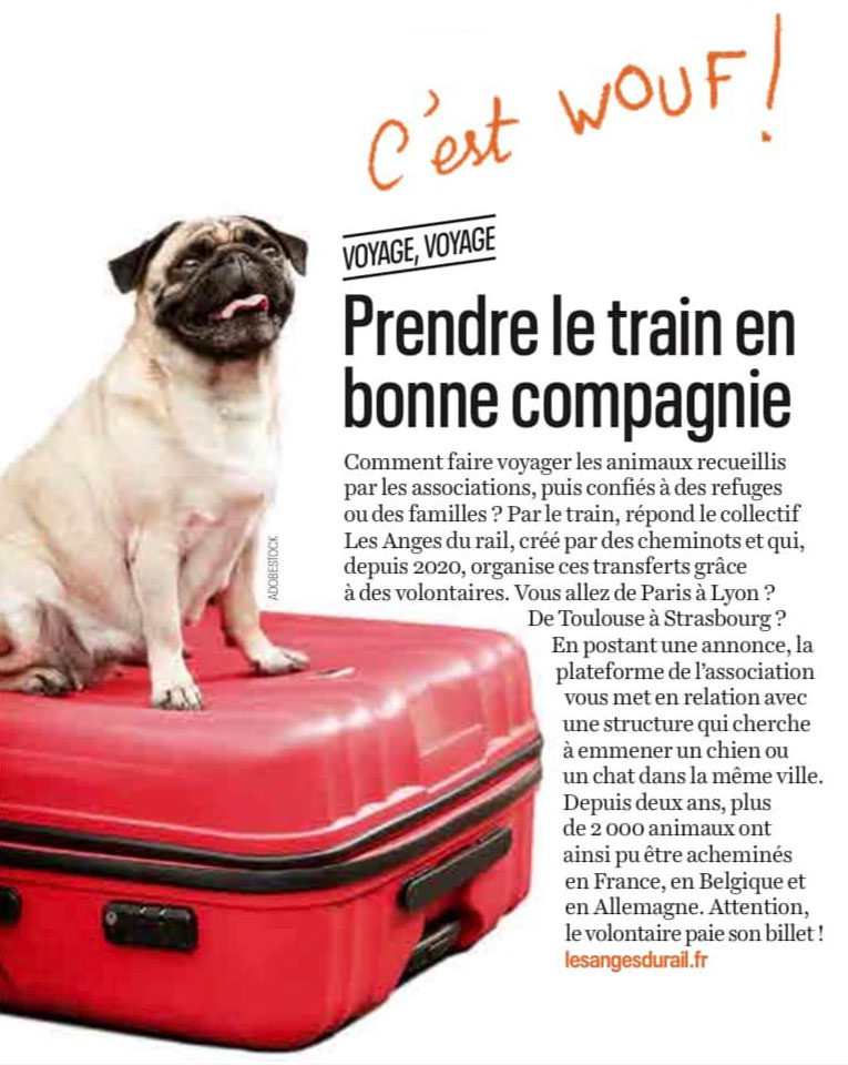 Prendre le train en bonne compagnie